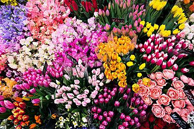 弹幕射击游戏《零能之翼》上线Steam 12月24日发售